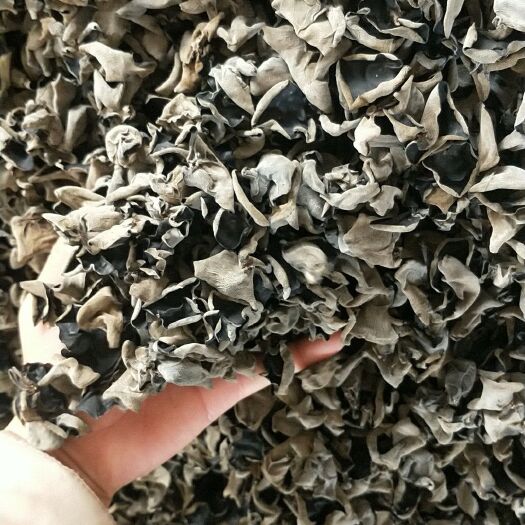 东北黑木耳 干木耳 一级
