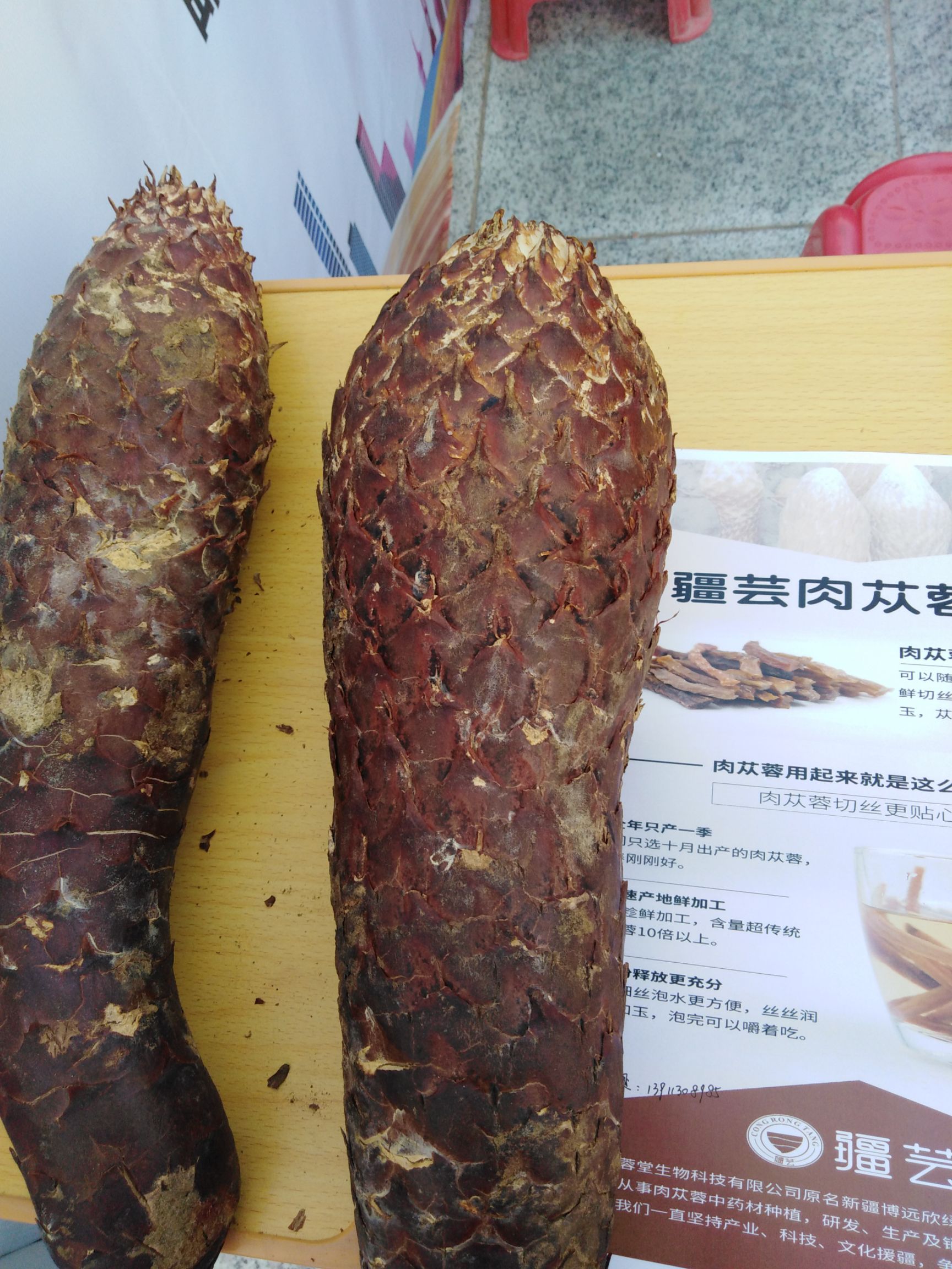 旱地  水浇地 沙质地平整水电房齐全滴灌设施方便安全离乡镇二