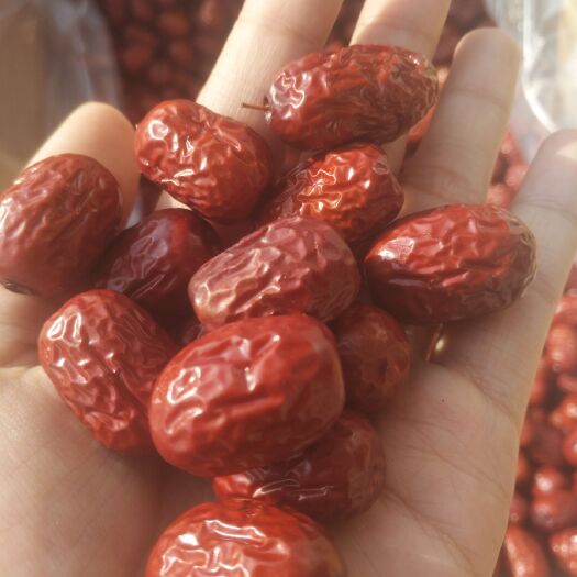 沧县灰枣 三级 
