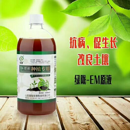 诸城市种植EM菌液 EM原液能分解化肥 农药残留 提高产品品质 达到绿色无公害