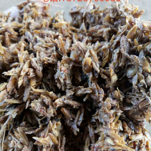 亳州酒糟 鸡 鸭 鹅 猪 牛 羊 马 兔 鸽子 鱼 虾  鹌鹑
