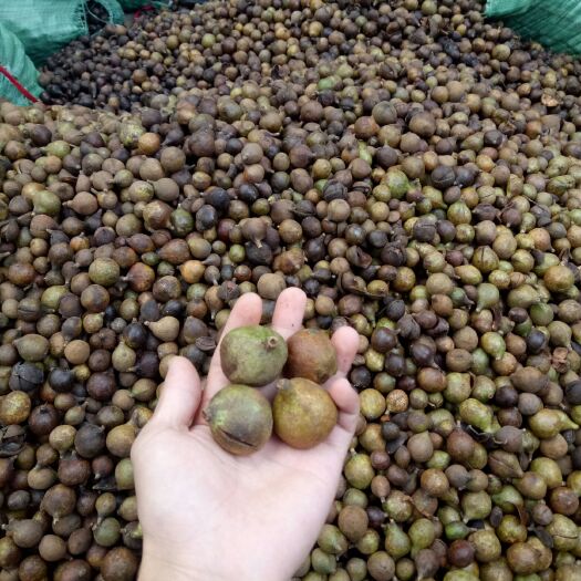 野山茶籽 诚信经营