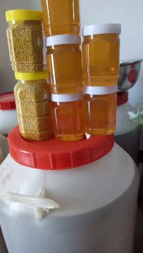 商丘槐花蜜 塑料瓶装 98% 2年