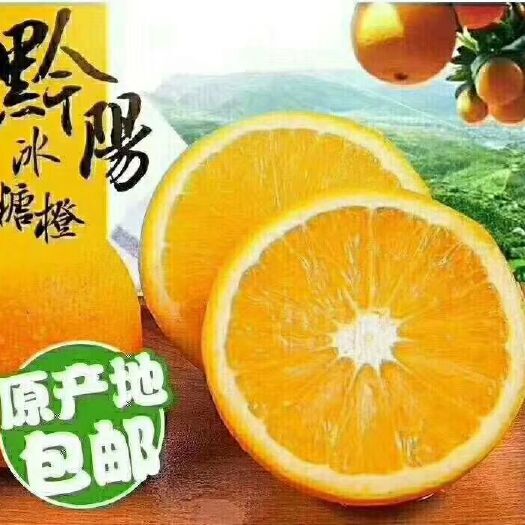 洪江市黔阳冰糖橙 55 - 60mm 4两以下 