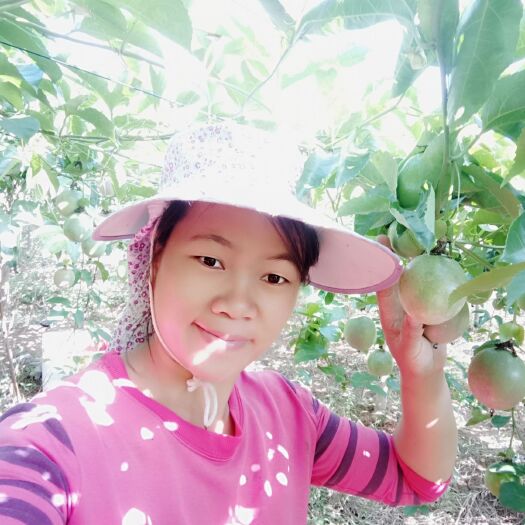 寻乌县紫色百香果 统货