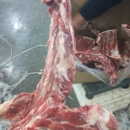 献县羊骨头 