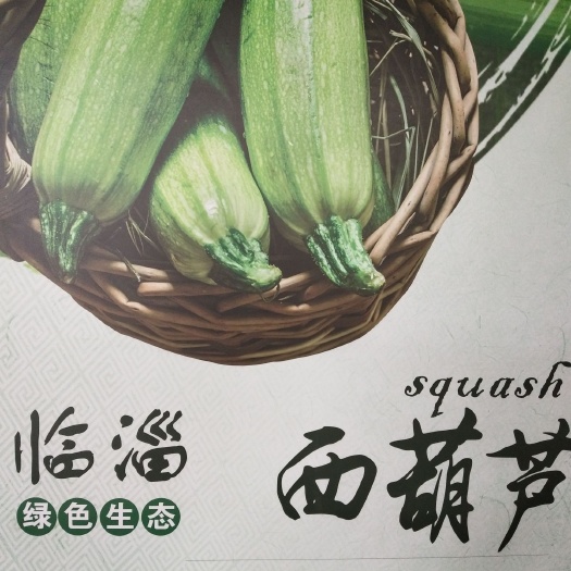 淄博绿皮西葫芦淄博上市中