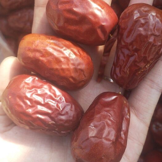 沧县骏枣 三级