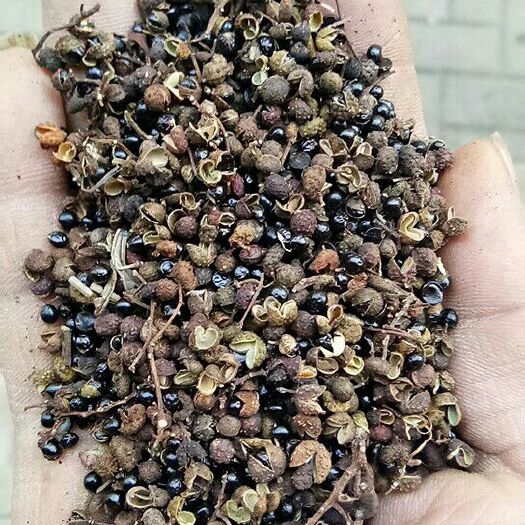 青花椒 干花椒 二级 