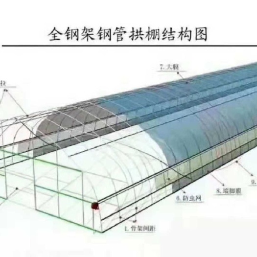 天津文洛式温室大棚