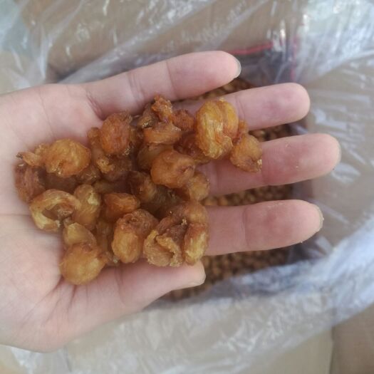 博白县博白石硖 箱装 统货 桂圆肉