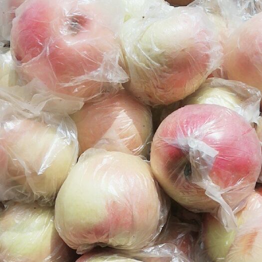 邯郸红富士苹果 膜袋 日晒面 60mm以下