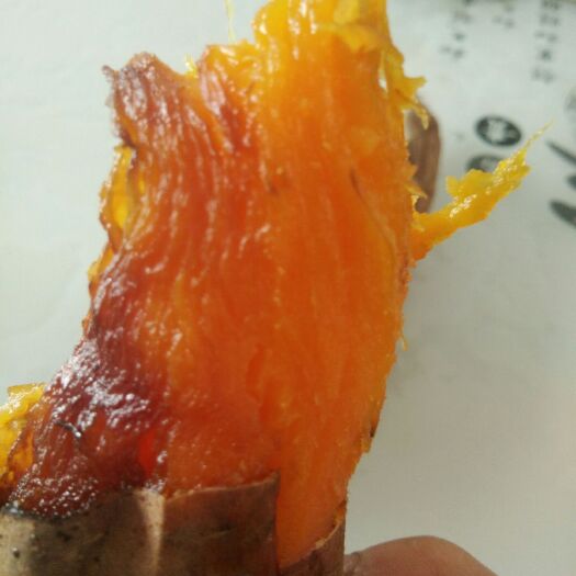 夏津县烟薯25 红皮 6两~1斤 