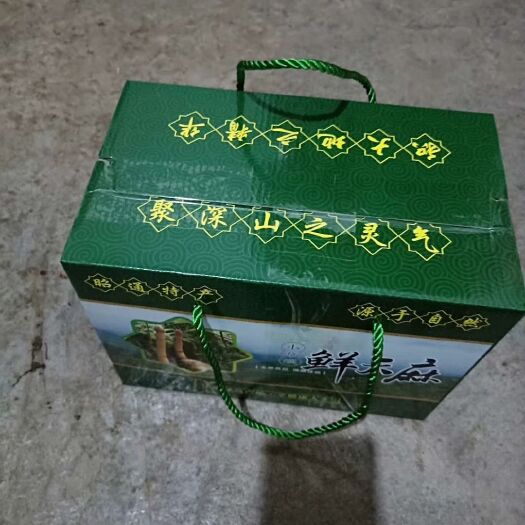 彝良县小草坝天麻