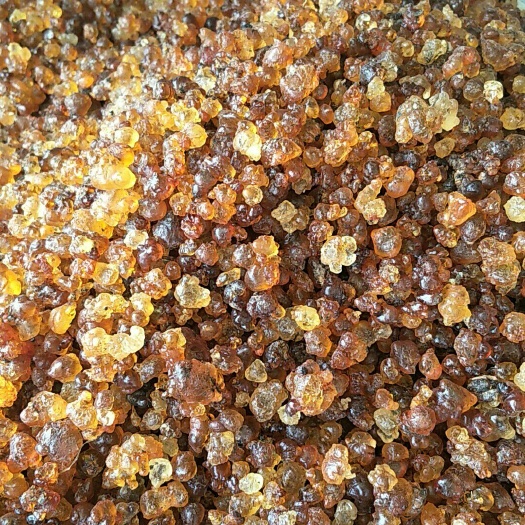 随县食用桃胶 18-24个月