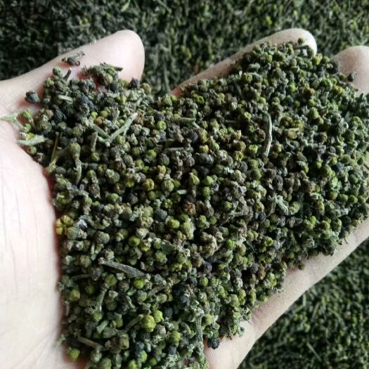 昌宁县吴茱萸