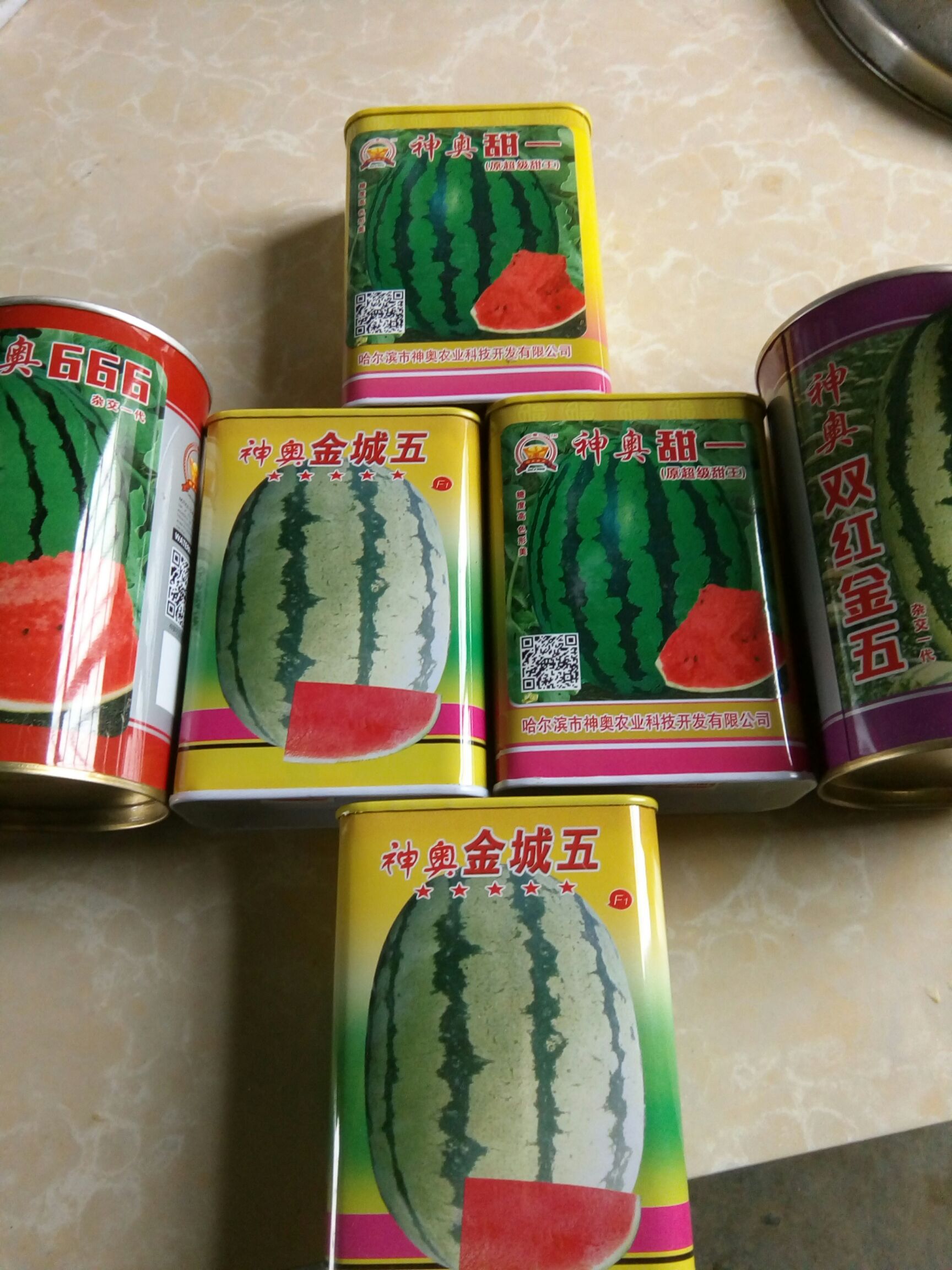 金城五号种子 二倍体杂交种 ≥90%