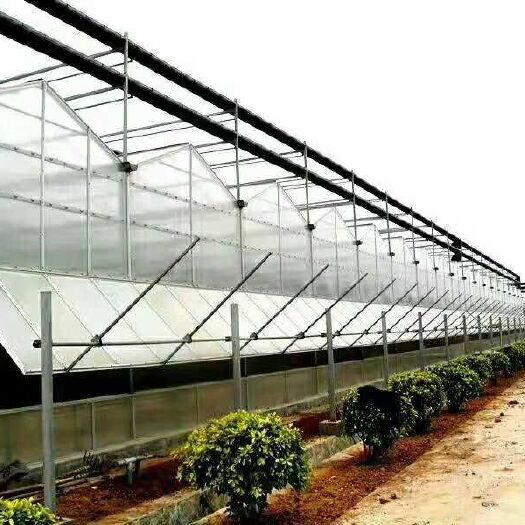 天津连栋棚 专业建棚10年