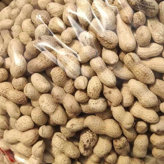 大名县炒花生 内双层塑料袋+外纸箱 6-12个月