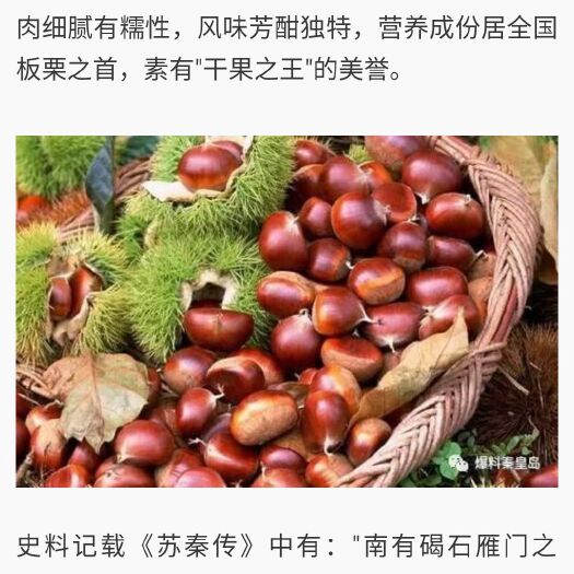 青龙县青龙板栗 一级 特选 