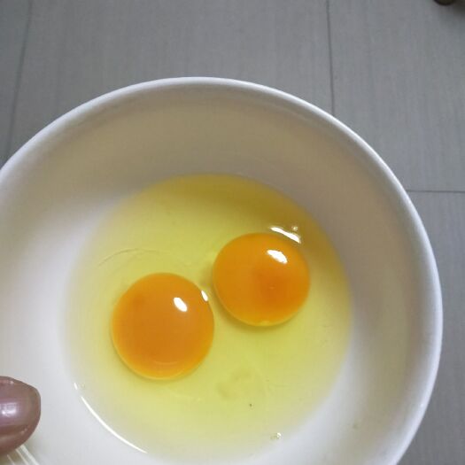 谷城县绿壳鸡蛋 箱装 食用
