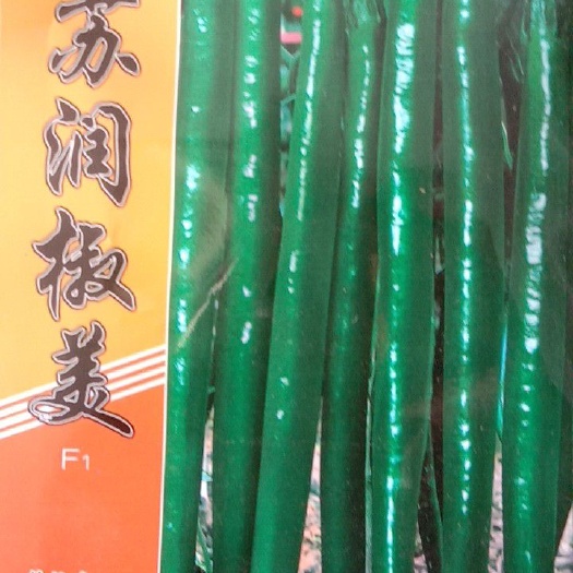 兰陵县线椒种子 ≥97% ≥97% 杂交种