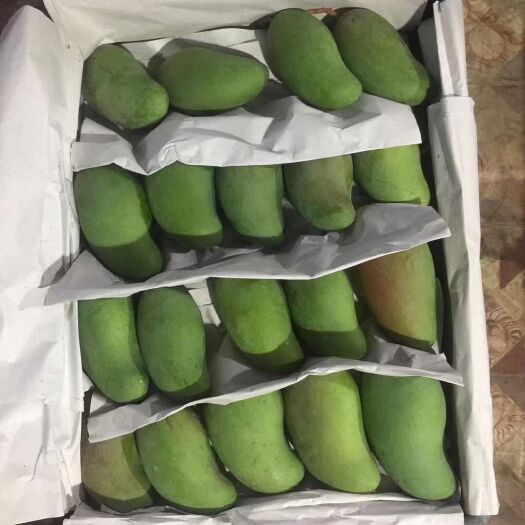  越南芒果甜心芒，保质保量，不含运费。
