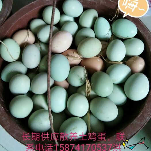 宁乡市绿壳土鸡蛋