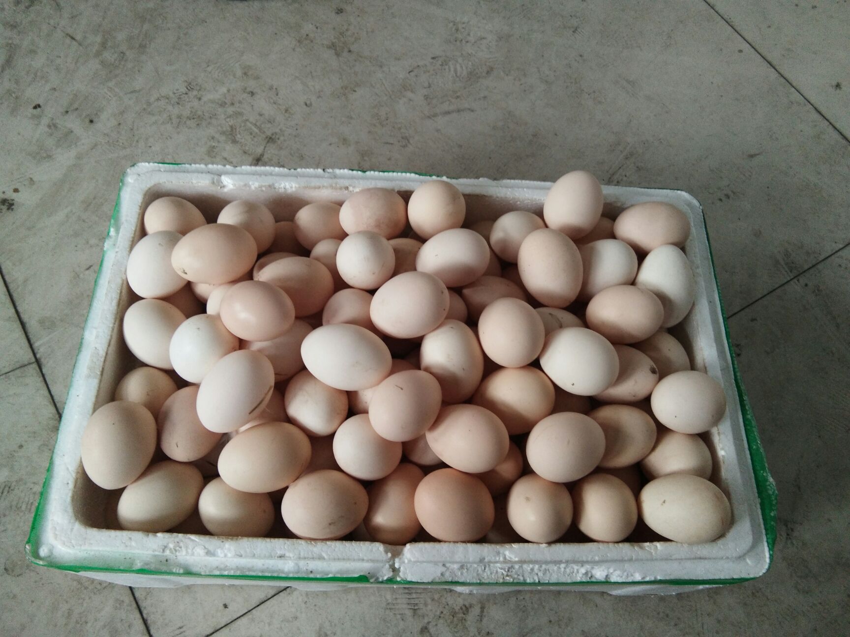 土鸡蛋 食用 箱装 