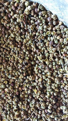永善县云南金阳花椒 干花椒 二级
