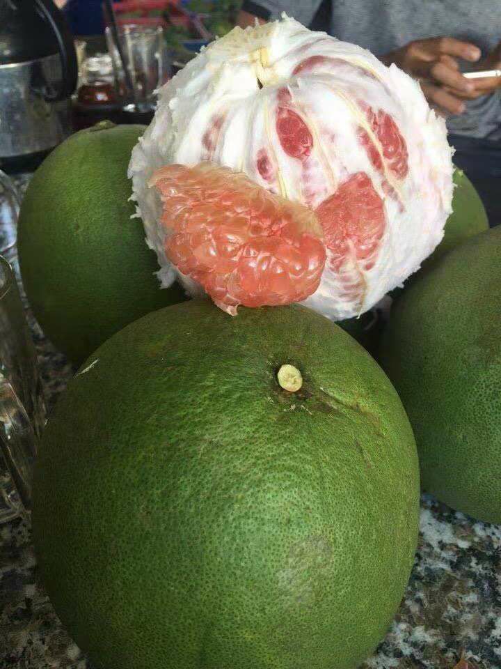 翡翠青皮柚