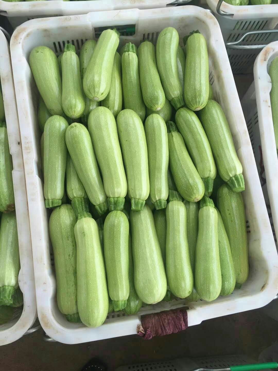硬粉西红柿 弧二以上