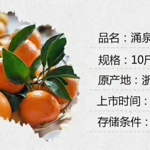 临海市蜜桔 5.5 - 6cm 2 - 3两 
