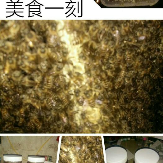眉县土蜂蜜 桶装  2年以上 
