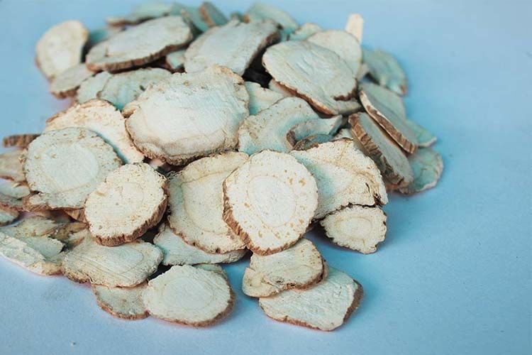 涡阳县亳州白芷