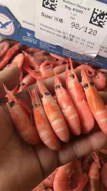 青岛阿根廷红虾