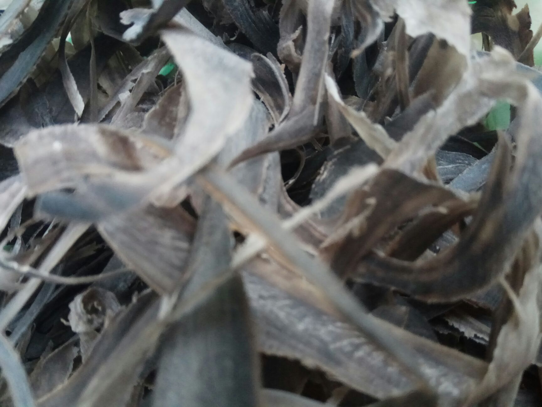 中药水牛角丝 水牛角丝