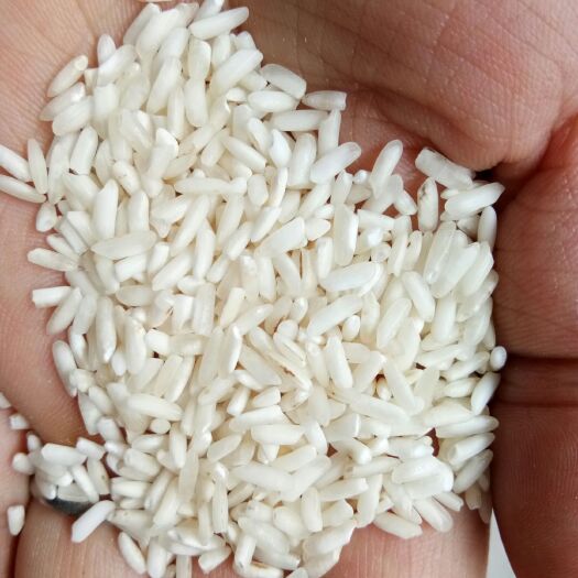 中牟县大量批发选白米，白米适合做白酒和熬粥用，