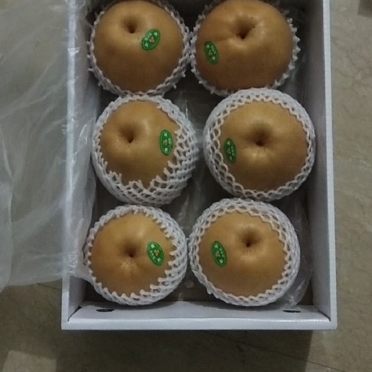 怀远县晚秋黄梨 价格美丽包装车