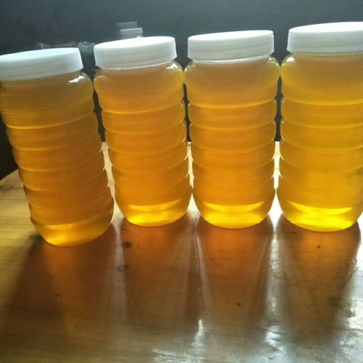 瑞金市土蜂蜜 塑料瓶装  2年