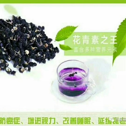 且末县黑枸杞 特级 