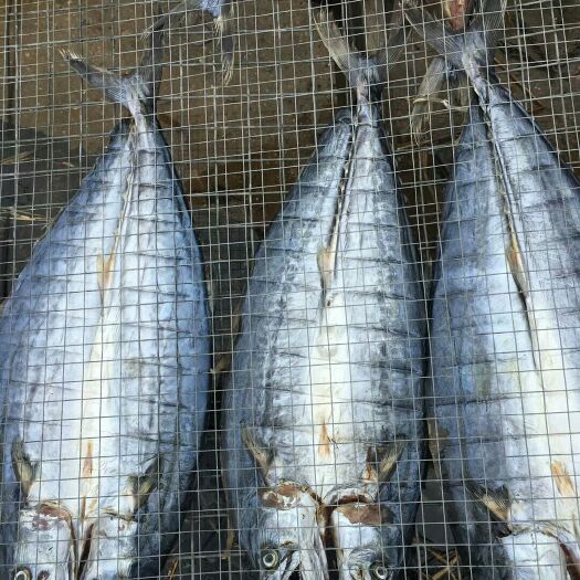 长海县鲅鱼干