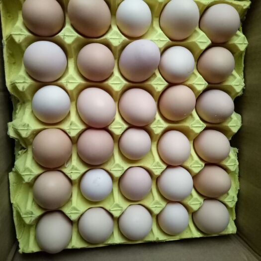 固始县粉蛋 食用 简包装 