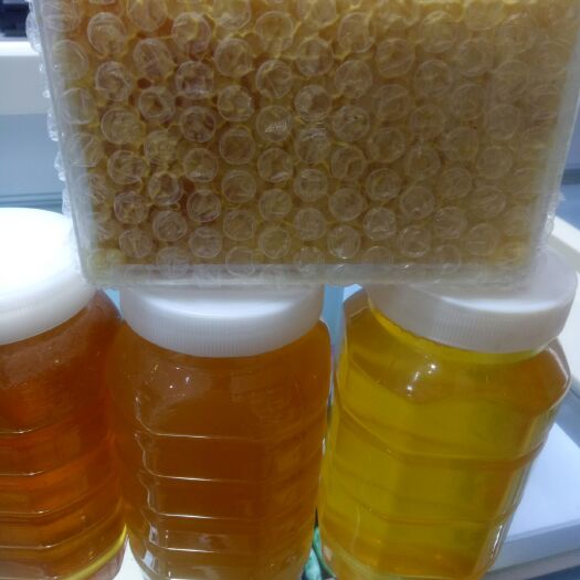 天门土蜂蜜 塑料瓶装 2年以上  