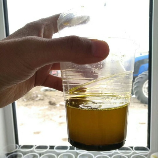 呼伦贝尔油菜籽