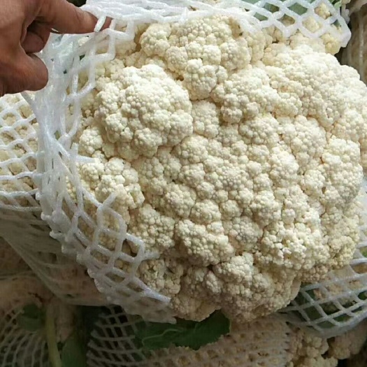 沛县白花菜花  青梗白面小米粒有机花一斤半至三斤