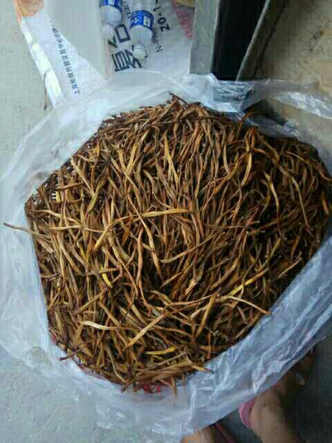 祁东黄花菜 散装 一级 