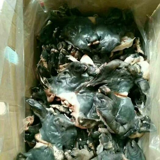 中牟县黑羊头肉