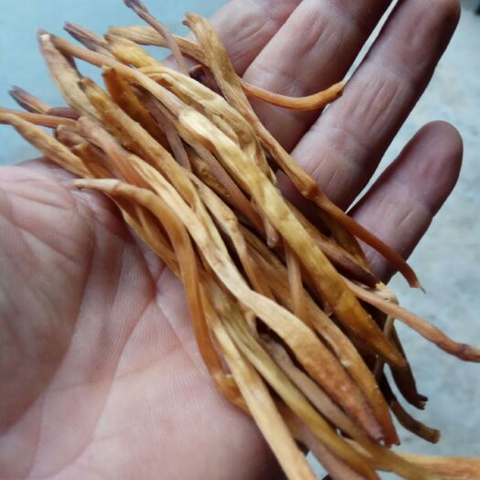 方城县祁东黄花菜 散装 一级 