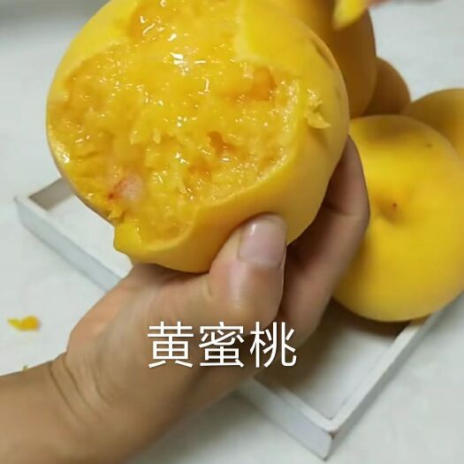 平邑县黄桃树苗 桃味十足，非黄桃莫属
